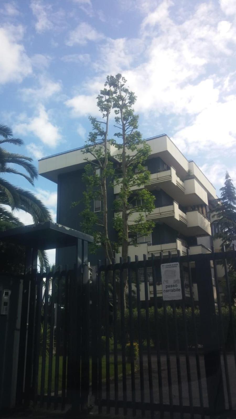 Casa Giordano Daire Roma Dış mekan fotoğraf